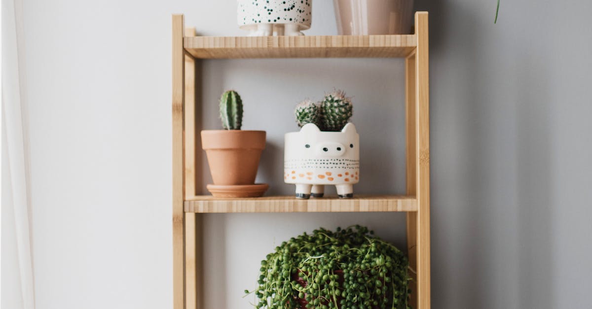 What are the 4 C's of decluttering?