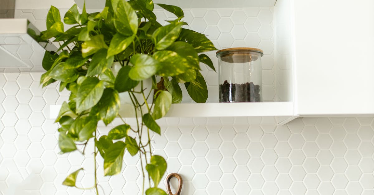 What is the 1 3 5 decluttering rule?